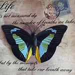 Ecogite Les Papillons Des Sucs Dom wakacyjny *