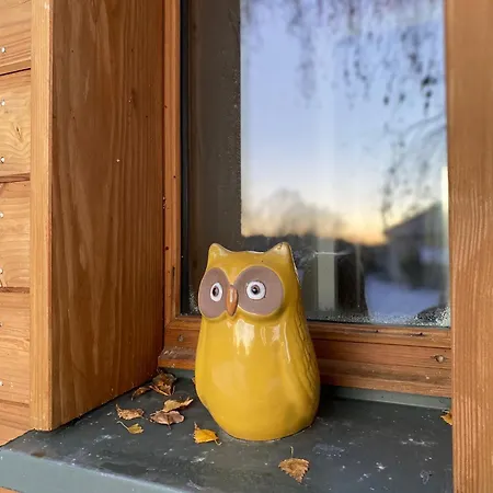 펜션 Ecogite Les Papillons Des Sucs Saint-Maurice-de-Lignon